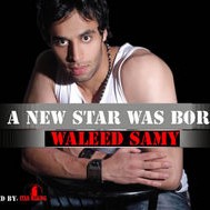 Walid Samy