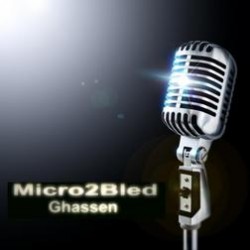 Ghassen Micro2bled