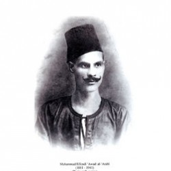 Mohamad Elaraby