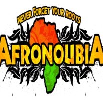 Afronoubia Band