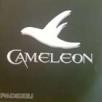 Groupe Cameleon