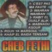 Cheik Fethi