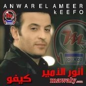 Anwar El Ameer