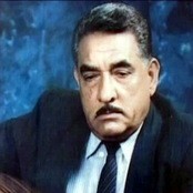 محمد جواد اموري