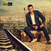 Amro El Meligy