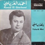 Ahmad AL Gharboui