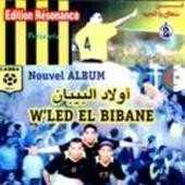 Wled El Bibane