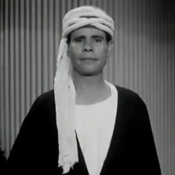 Omar Elgizawy