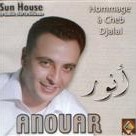 Cheb Anouar