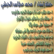 Mohamed Attas Alhabashi