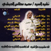 Mohamed Attas Alhabashi