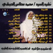 Mohamed Attas Alhabashi