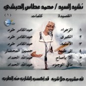 Mohamed Attas Alhabashi