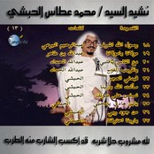 Mohamed Attas Alhabashi