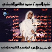 Mohamed Attas Alhabashi