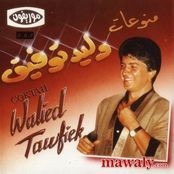 Waled Tawfik