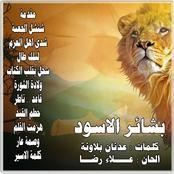 علاء رضا