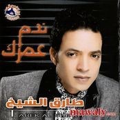 Tarek Al Sheikh