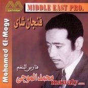 Mohamd Elmogy