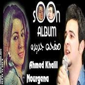 Ahmed W Norgina