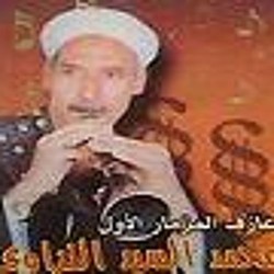 محمد السيد النزاوى