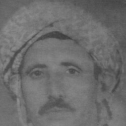 Cheikh Djilani Ain Teles